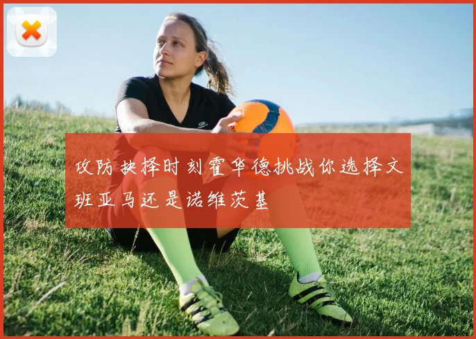攻防抉择时刻霍华德挑战你选择文班亚马还是诺维茨基